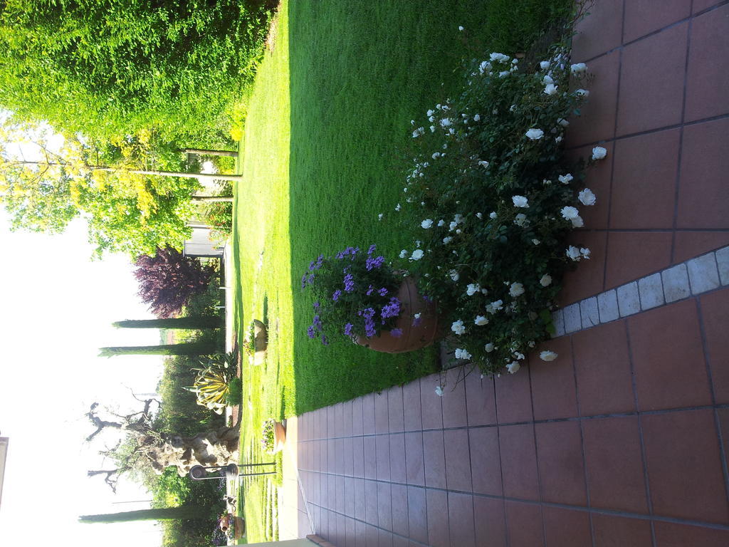 Casa Costa Relais B&B Monteforte d'Alpone Экстерьер фото